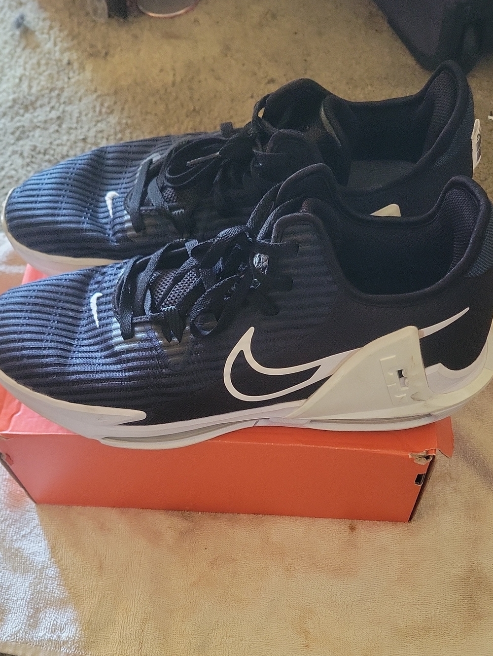Lebron 6 Witness Shoes